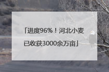 进度96%！河北小麦已收获3000余万亩