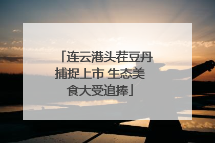 连云港头茬豆丹捕捉上市 生态美食大受追捧