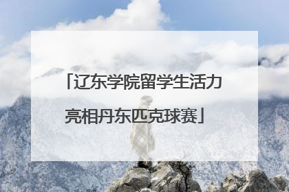 辽东学院留学生活力亮相丹东匹克球赛
