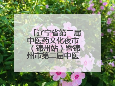 辽宁省第二届中医药文化夜市（锦州站）暨锦州市第二届中医康养夜市启幕