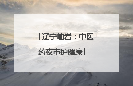 辽宁岫岩：中医药夜市护健康