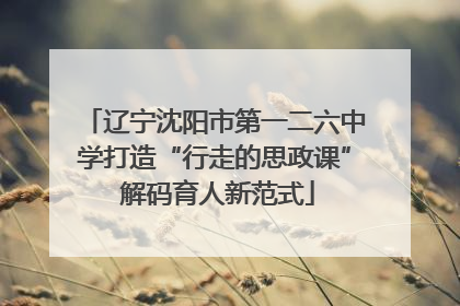 辽宁沈阳市第一二六中学打造“行走的思政课” 解码育人新范式