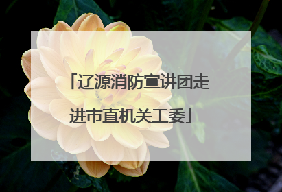 辽源消防宣讲团走进市直机关工委