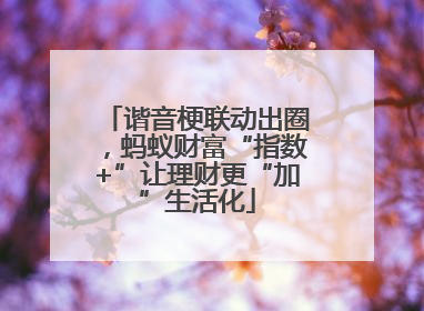 谐音梗联动出圈，蚂蚁财富“指数+”让理财更“加”生活化