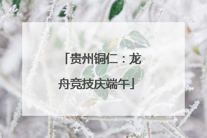 贵州铜仁：龙舟竞技庆端午
