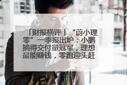 财报横评丨“蔚小理零”一季报出炉：小鹏摘得交付量冠军，理想最能赚钱，零跑迎头赶上，蔚来还在调整