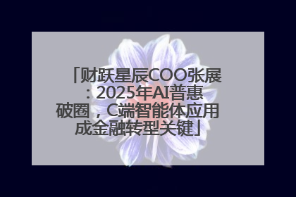 财跃星辰COO张展：2025年AI普惠破圈，C端智能体应用成金融转型关键