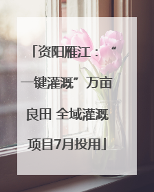 资阳雁江：“一键灌溉”万亩良田 全域灌溉项目7月投用