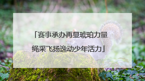 赛事承办再显琥珀力量 绳采飞扬逸动少年活力