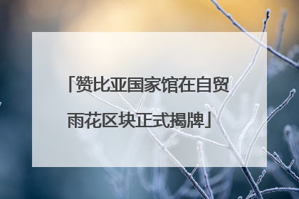 赞比亚国家馆在自贸雨花区块正式揭牌