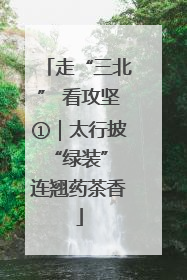 走“三北” 看攻坚①｜太行披“绿装” 连翘药茶香