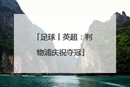 足球丨英超：利物浦庆祝夺冠