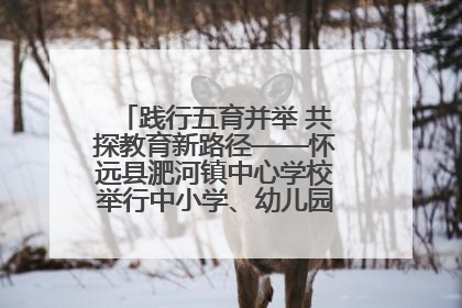 践行五育并举 共探教育新路径——怀远县淝河镇中心学校举行中小学、幼儿园班主任论坛活动