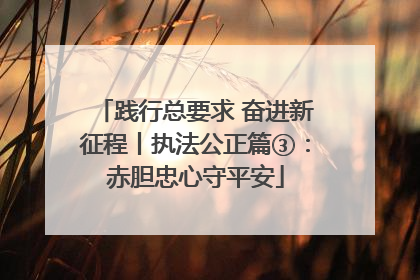践行总要求 奋进新征程丨执法公正篇③：赤胆忠心守平安