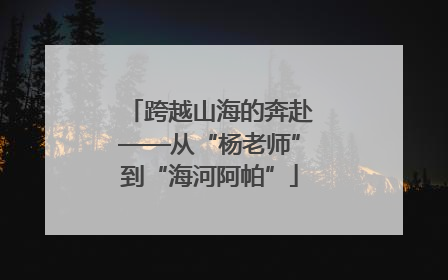 跨越山海的奔赴——从“杨老师”到“海河阿帕”