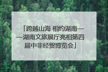 跨越山海 相约湖南——湖南文旅展厅亮相第四届中非经贸博览会