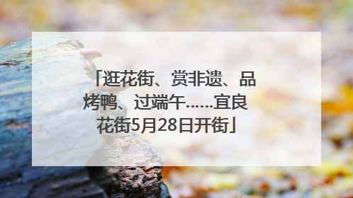 逛花街、赏非遗、品烤鸭、过端午……宜良花街5月28日开街