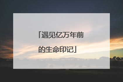 遇见亿万年前的生命印记