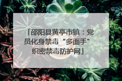 邵阳县黄亭市镇：党员化身禁毒“多面手” 织密禁毒防护网
