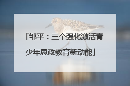 邹平：三个强化激活青少年思政教育新动能