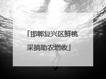 邯郸复兴区鲜桃采摘助农增收