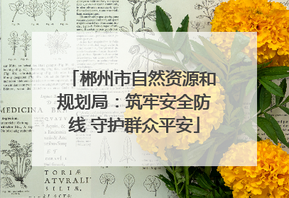 郴州市自然资源和规划局：筑牢安全防线 守护群众平安