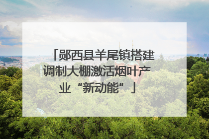 郧西县羊尾镇搭建调制大棚激活烟叶产业“新动能”