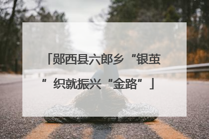 郧西县六郎乡“银茧”织就振兴“金路”