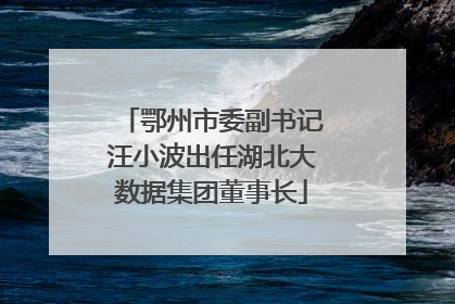 鄂州市委副书记汪小波出任湖北大数据集团董事长