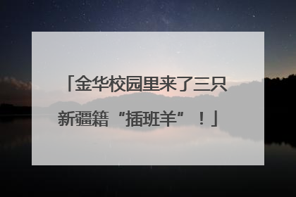 金华校园里来了三只新疆籍“插班羊”!