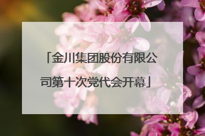 金川集团股份有限公司第十次党代会开幕