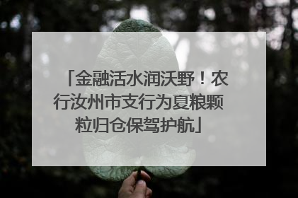 金融活水润沃野！农行汝州市支行为夏粮颗粒归仓保驾护航