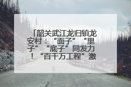 韶关武江龙归镇龙安村：“面子”“里子”“底子”同发力！“百千万工程”激活乡村新动能