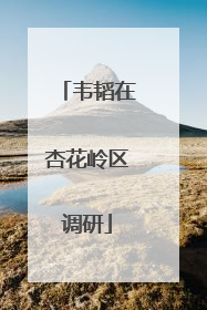 韦韬在杏花岭区调研