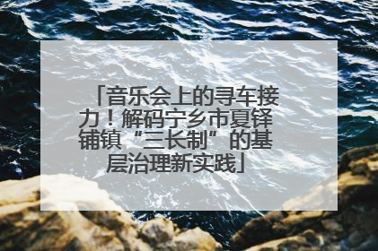 音乐会上的寻车接力！解码宁乡市夏铎铺镇“三长制”的基层治理新实践