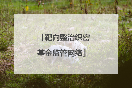 靶向整治织密基金监管网络