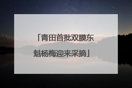 青田首批双膜东魁杨梅迎来采摘