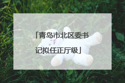 青岛市北区委书记拟任正厅级