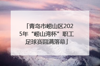 青岛市崂山区2025年“崂山湾杯”职工足球赛圆满落幕