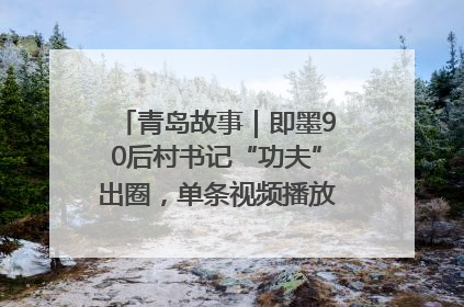 青岛故事｜即墨90后村书记“功夫”出圈，单条视频播放量过600万