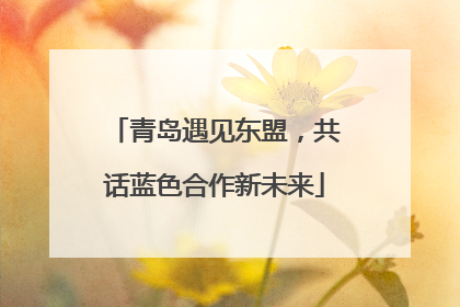 青岛遇见东盟，共话蓝色合作新未来