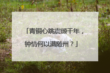 青铜心跳震颤千年，钟情何以满随州？