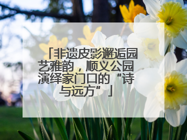 非遗皮影邂逅园艺雅韵，顺义公园演绎家门口的“诗与远方”