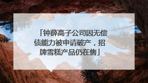 钟薛高子公司因无偿债能力被申请破产，招牌雪糕产品仍在售