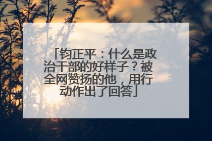 钧正平：什么是政治干部的好样子？被全网赞扬的他，用行动作出了回答