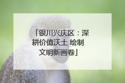 银川兴庆区：深耕价值沃土 绘制文明新画卷