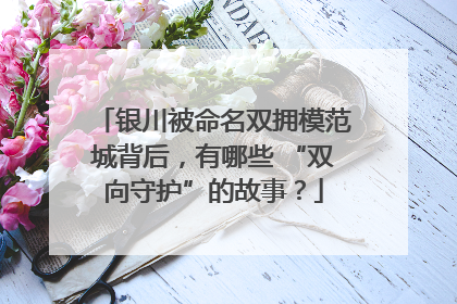 银川被命名双拥模范城背后，有哪些 “双向守护”的故事？