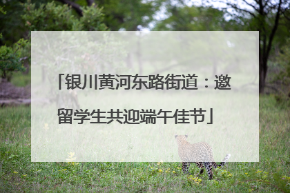 银川黄河东路街道：邀留学生共迎端午佳节