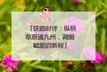 铁路时评：纵横草原通九州，调图赋能启新程