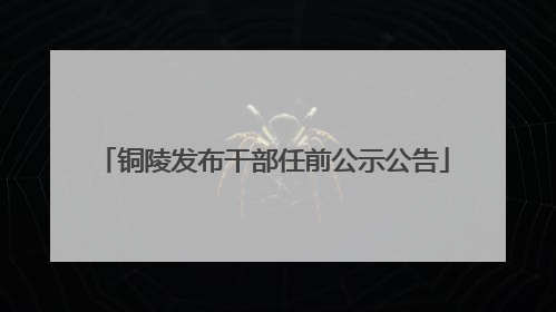 铜陵发布干部任前公示公告
